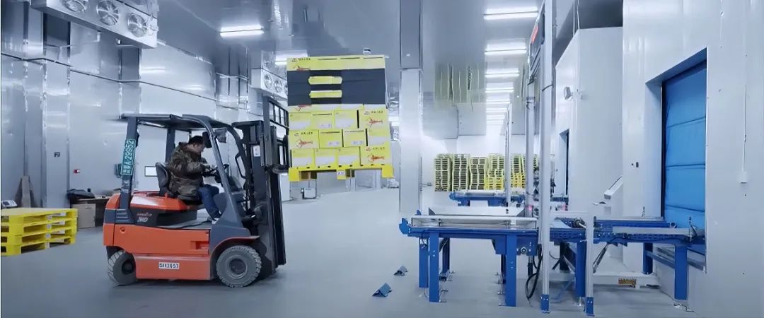 寶潤達(dá)聚氨酯冷庫板廠家